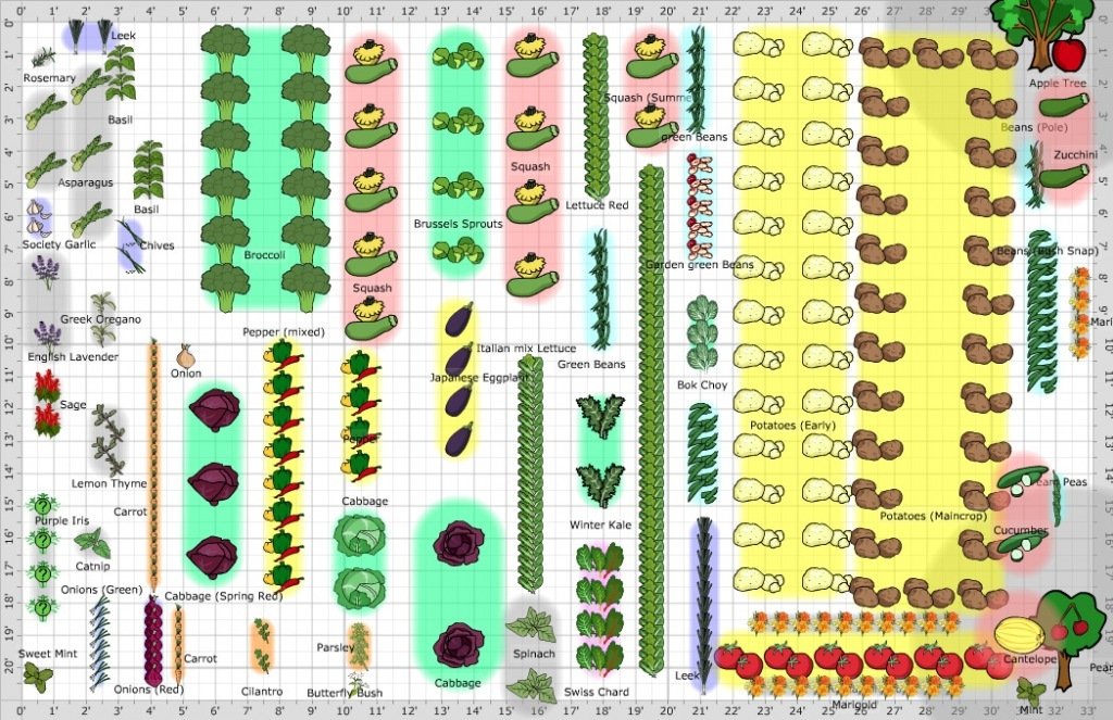 How To Layout A Vegetable Garden