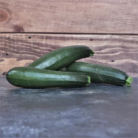 Courgette Black beauty