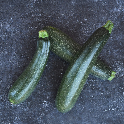 COURGETTE Black beauty Bio - La Semence Bio