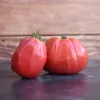 Tomate Grosse des Marais