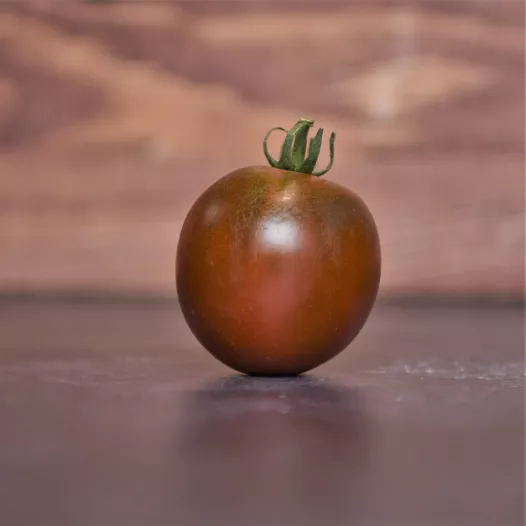 Tomate Black Prince