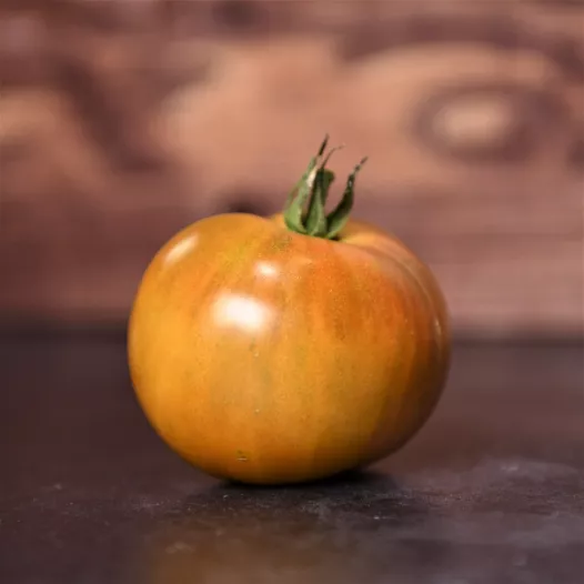 Tomate Bronze de Belgique