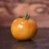 Tomate Bronze de Belgique