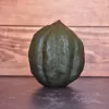 Courge Royal Acorn