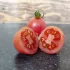 Tomate cerise Rose de Podlaki