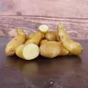 Aardappel Ratte - 5KG