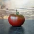 Tomate Noire de Crimée