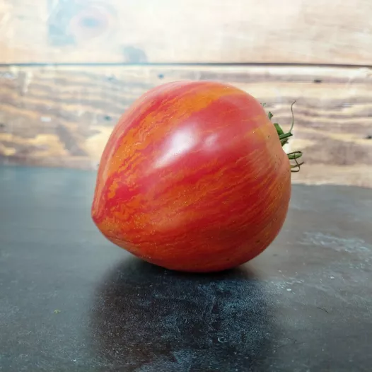 Tomate bigarée Cœur Rose strié de Pessac