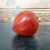 Tomate bigarée Cœur Rose strié de Pessac