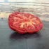 Tomate rouge Gloire de Wilrijk