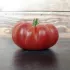 Tomate rouge Gloire de Wilrijk