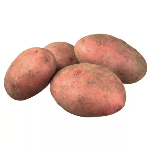 Pomme de terre Chérie - 5kg