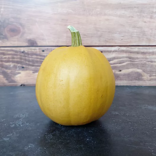 Courge Melonnette Jaspée de Vendée