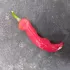 Paprika Corno di toro rood