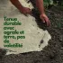 Rouleau de paillage en chanvre pour potager 5m x 0.54m