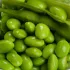 Soja Edamame Chiba Green