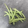 Haricot nain mangetout Prélude