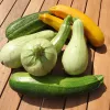 Courgettes en mélange