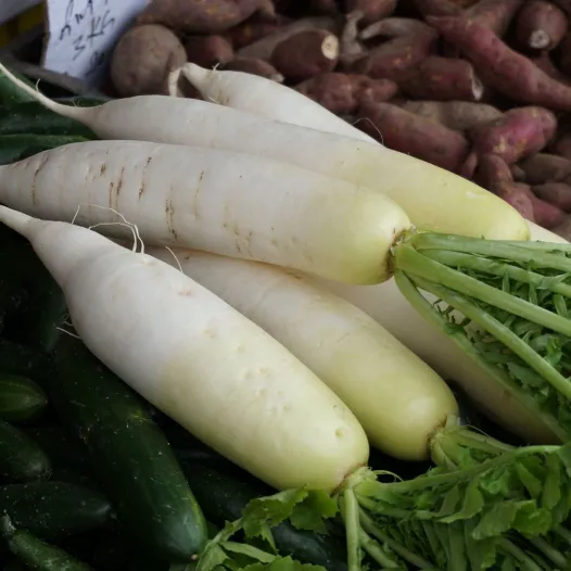 Radis Marché de Zurich