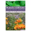 55 plantes médicinales dans mon potager