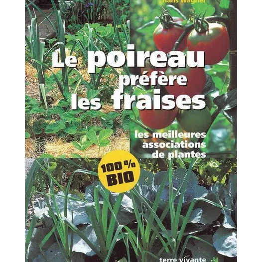 Le poireau préfère les fraises