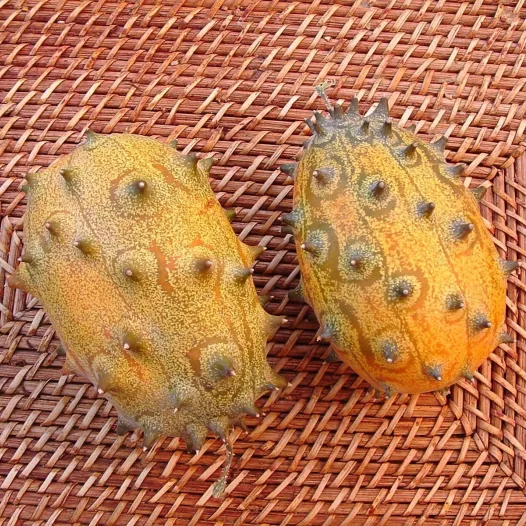 Concombre du Kenya Kiwano