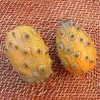 Concombre du Kenya Kiwano