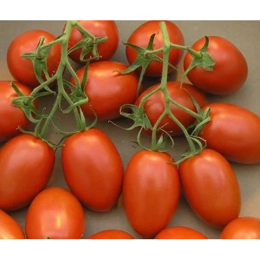 Tomate de Bérao