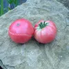 Tomate Géante d'Orembourg