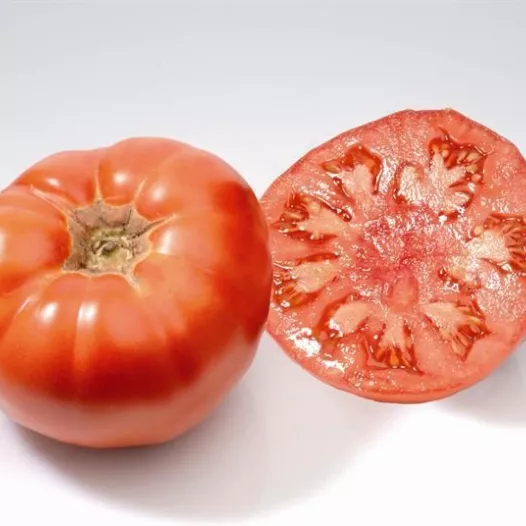 Tomate Marmande