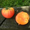 Tomate German Gold