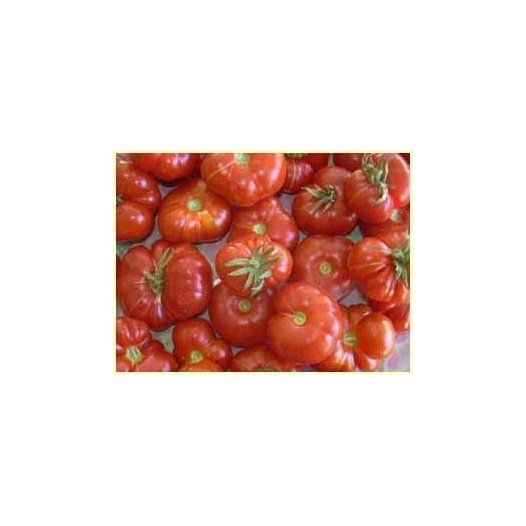 La Pousse Verte - Graines de Tomate cerise robin rouge en sachet