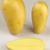 Aardappel Allians - 1KG