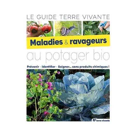 Maladies et ravageurs au potager bio