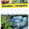 Maladies et ravageurs au potager bio