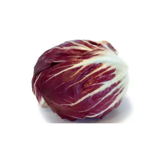 Andijvie Radicchio Chiogga Palla Rossa