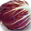 Andijvie Radicchio Chiogga Palla Rossa