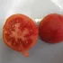 Tomate Reine des hatives