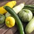 Courgettes en mélange