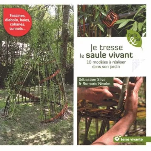 Je tresse le saule vivant