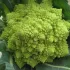 Chou-Fleur Romanesco