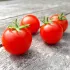 Tomate cerise Vilma Cherry