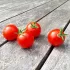 Tomate cerise Vilma Cherry