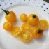 Tomate cerise Balconi jaune