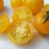 Tomate cerise Balconi jaune