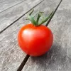 Tomate rouge Joffre