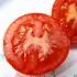 tomate rouge Joffre