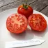 Tomate rouge Gloire de Malines