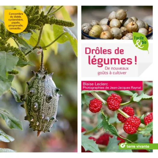 Drôles de légumes