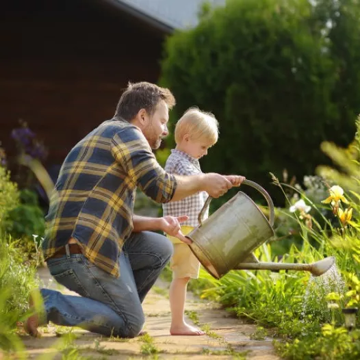 un potager pour nos petits jardiniers en herbe